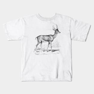 Fawn Deer Black White Vintage Animal Illustration Kids T-Shirt